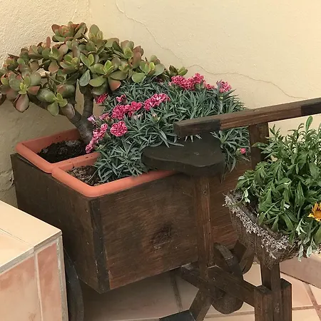 Alaia Casa vacanze *